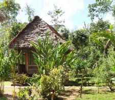 Rainforest Lodge Accommodation Rainforest Lodge Accommodation