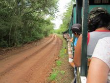 Ecological train in Iguazu Falls National Park, Argentina