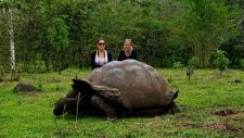 Santa Cruz Highlands Giant Tortoise